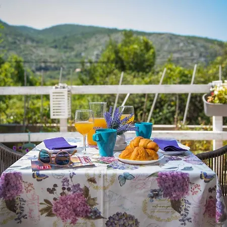 Apartment Laurels Mokošica
